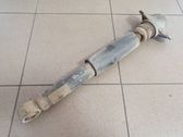 Rear shock absorber/damper