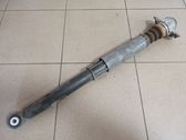 Rear shock absorber/damper