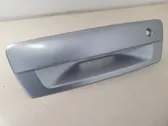 Moldura de la cerradura de la puerta/portón del maletero