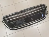 Front bumper upper radiator grill