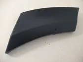 Fender trim (molding)