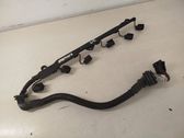 Fuel injector wires