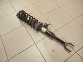 Front shock absorber with coil spring