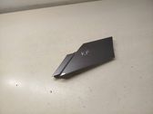 Fender trim (molding)