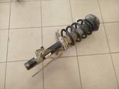Front shock absorber with coil spring