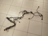 Rear door wiring loom