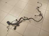 Front door wiring loom
