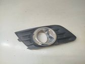 Front fog light trim/grill