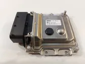 Fuel injection pump control unit/module