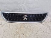 Front bumper upper radiator grill