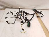 Rear door wiring loom