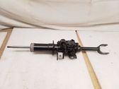 Front shock absorber/damper