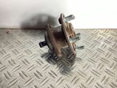 Rear wheel hub