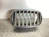 Front bumper lower grill