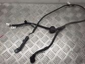 Other wiring loom