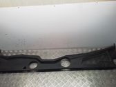 Wiper trim