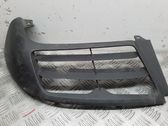 Front bumper lower grill