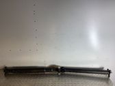 Drive shaft (set)