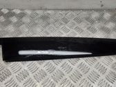 Moulures des vitres de la porte arrière