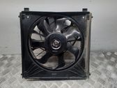 Electric radiator cooling fan