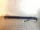 Tailgate/trunk strut/damper