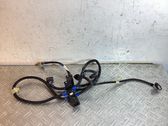 Parking sensor (PDC) wiring loom