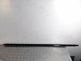 Front door glass trim molding