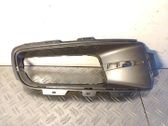 Front fog light trim/grill