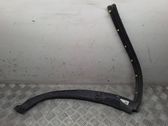 Listón embellecedor de la puerta delantera (moldura)