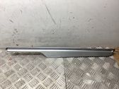 Rear door trim (molding)