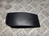 Rear/tail light trim molding