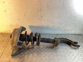 Front shock absorber with coil spring