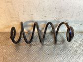 Rear coil spring