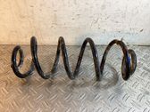 Rear coil spring