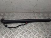 Tailgate/trunk strut/damper