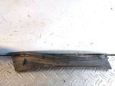 Moldura del limpia
