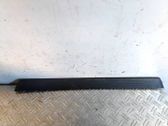 Front sill trim cover