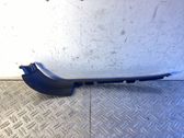 Front sill trim cover