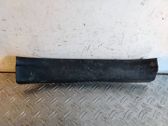 Rear sill trim cover
