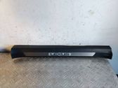 Front sill trim cover