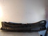 Wiper trim