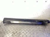 Front sill trim cover