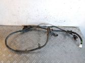 Rear ABS sensor wiring