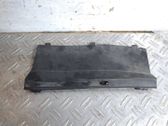 Moldura del limpia