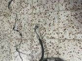 Manguera/tubo del aire acondicionado (A/C)