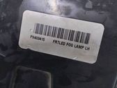 Rear fog light
