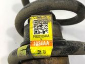 Rear coil spring