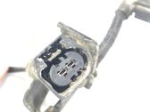 Handbrake wiring loom/harness