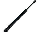 Tailgate/trunk strut/damper