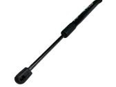 Tailgate/trunk strut/damper